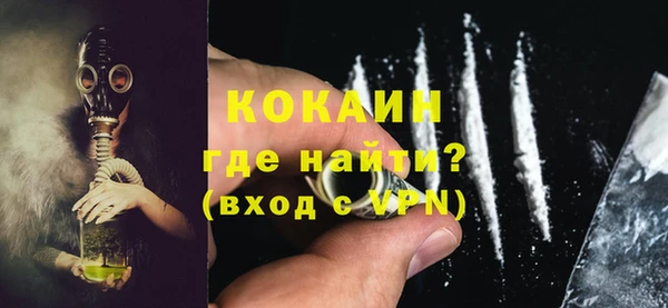 стафф Касимов