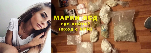 стафф Касимов