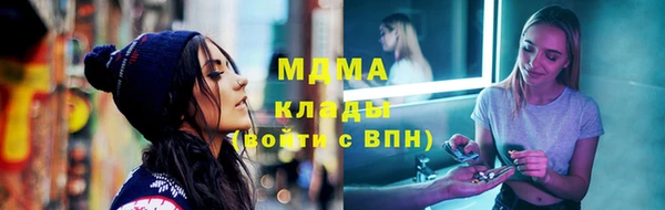 индика Козловка