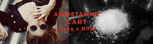 стафф Касимов
