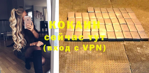 стафф Касимов
