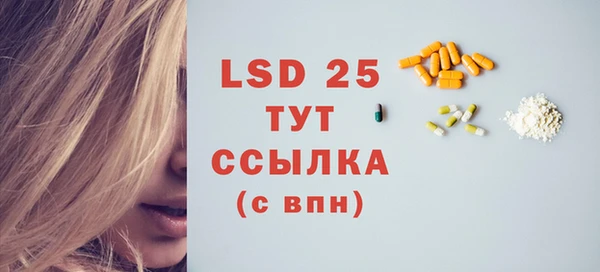 стафф Касимов