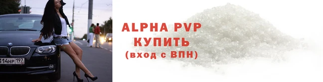 стафф Касимов