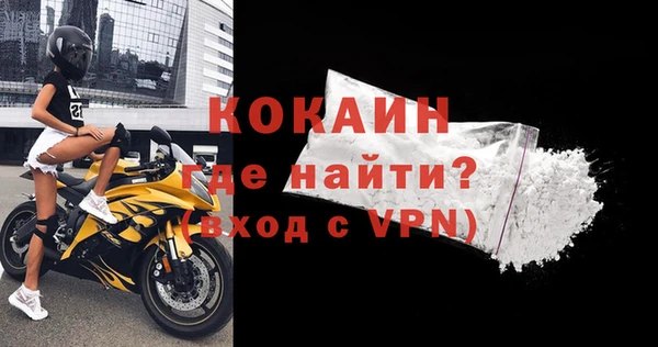 стафф Касимов